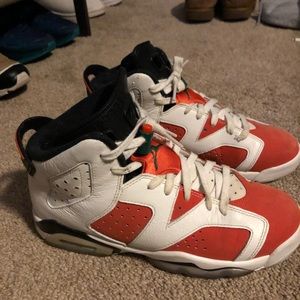 Retro Jordan 6 Gatorades